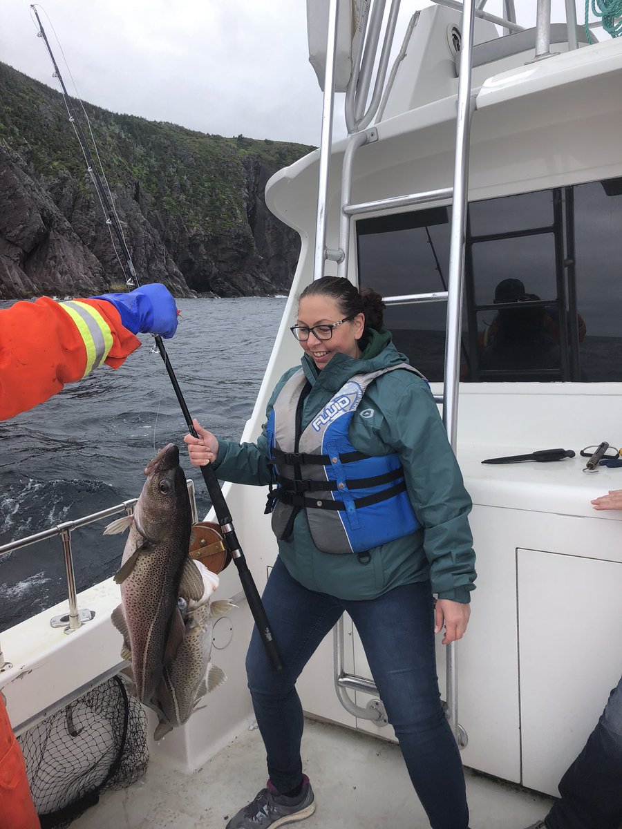 QV Charters tweet media