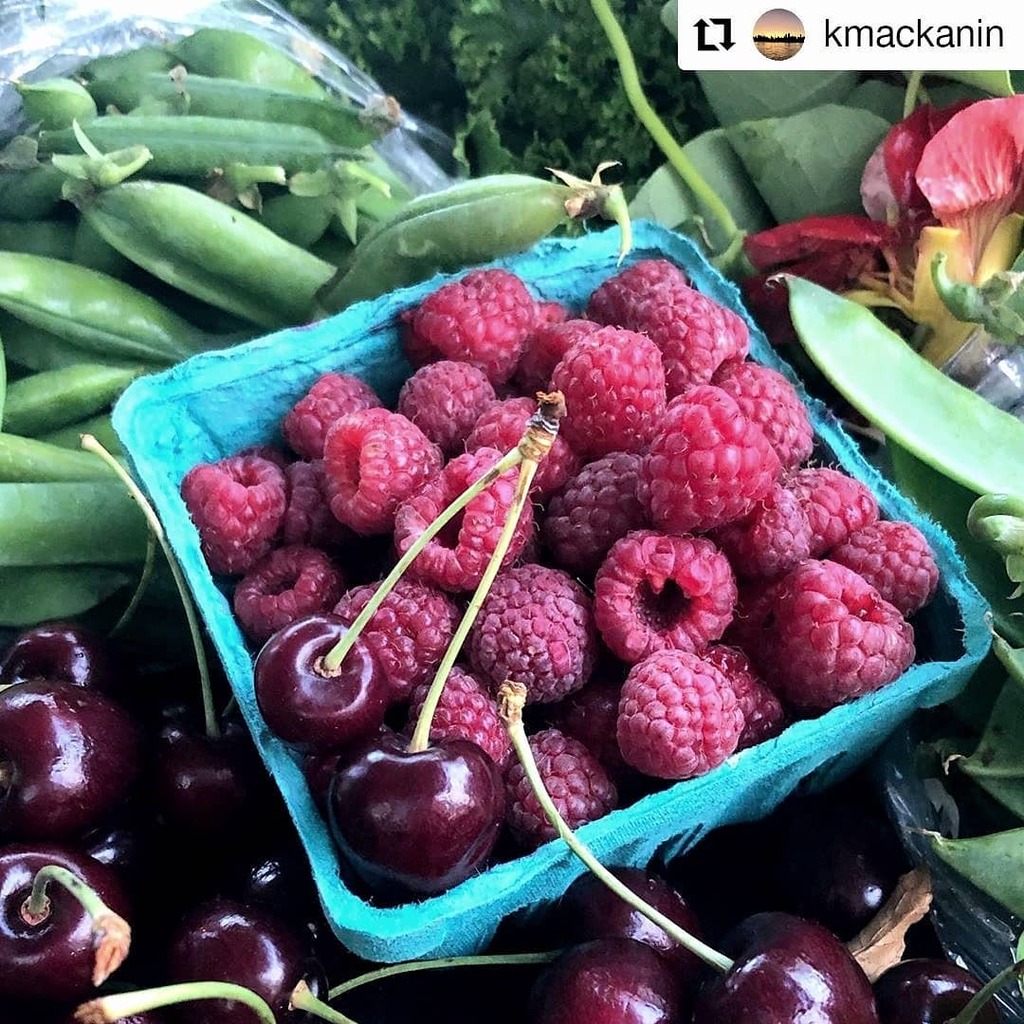 HellgateCSA's tweet photo. #Reposting last week's share from @kmackanin!

Tag #HellGateCSA, we like seeing your #photography!

#localfood
#eatlocal
#localcsa
#localfarmer
#plantbased
#locavore
#seasonalfood
#healthy
#foodporn
#farmtotable
#vegan
#berries
#eatyourrainbow
#instafood… https://t.co/grTolcyaMs https://t.co/vsShjfGvPA