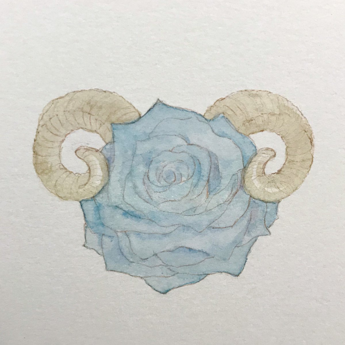 羊角 羊角