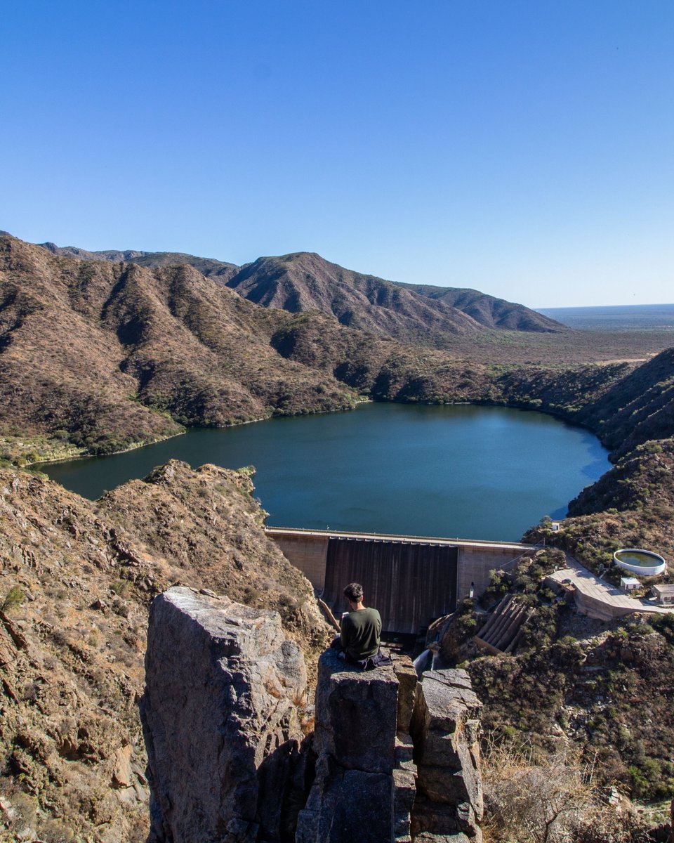 Fernando Ressia tweet media