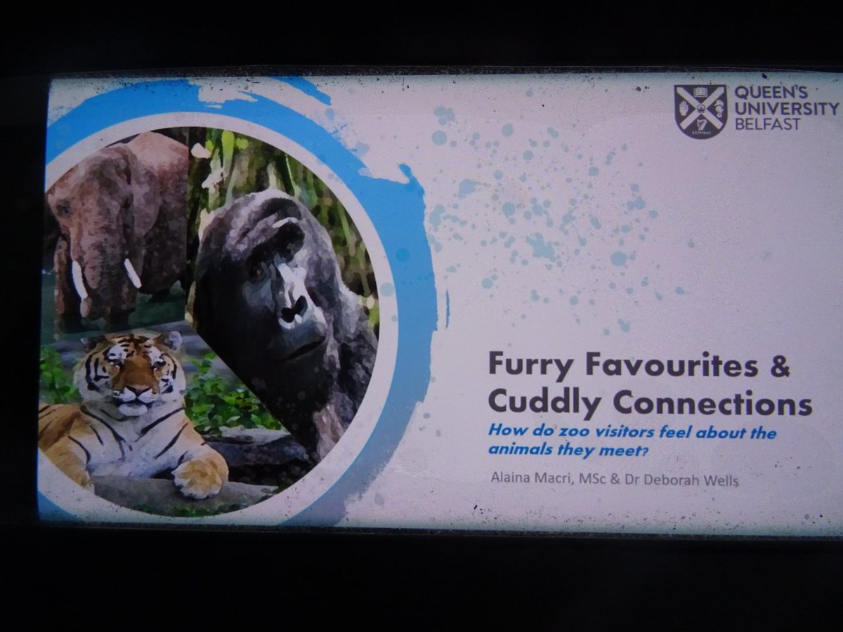 ZooStephen's tweet photo. Great talk #virtualzooscience2020 from @alainamacri on her Animal Connections PhD study @QUBelfast   Some analysis of early findings - what does it mean to feel connected?
Good online Q&amp;A afterwards too.
Take part in the survey - see @BIAZA research committee FB page 💚 https://t.co/0e4cRZmBZJ