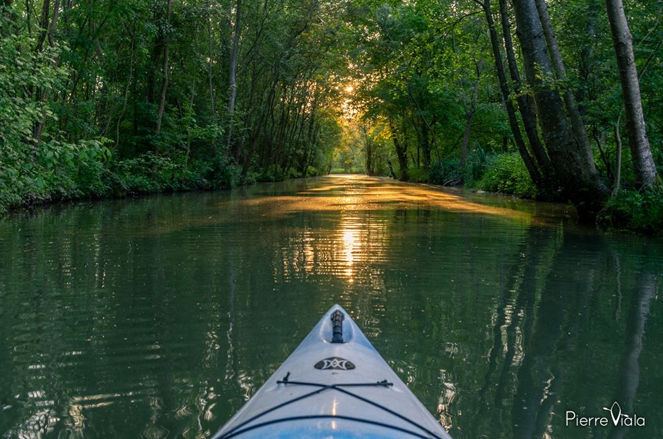 pierre_viala's tweet photo. Je vous propose une nouvelle #rando #canoë au lever du soleil dimanche 12/7 dans le #MaraisPoitevin #vacances #sportives #MagnifiqueFrance #Tourisme #BaladeSympa #NiortAgglo #DeuxSèvres #NouvelleAquitaine #exploveniseverte 
Plus d'infos : https://t.co/dHCrz60osU https://t.co/wMGKPpTY4Z