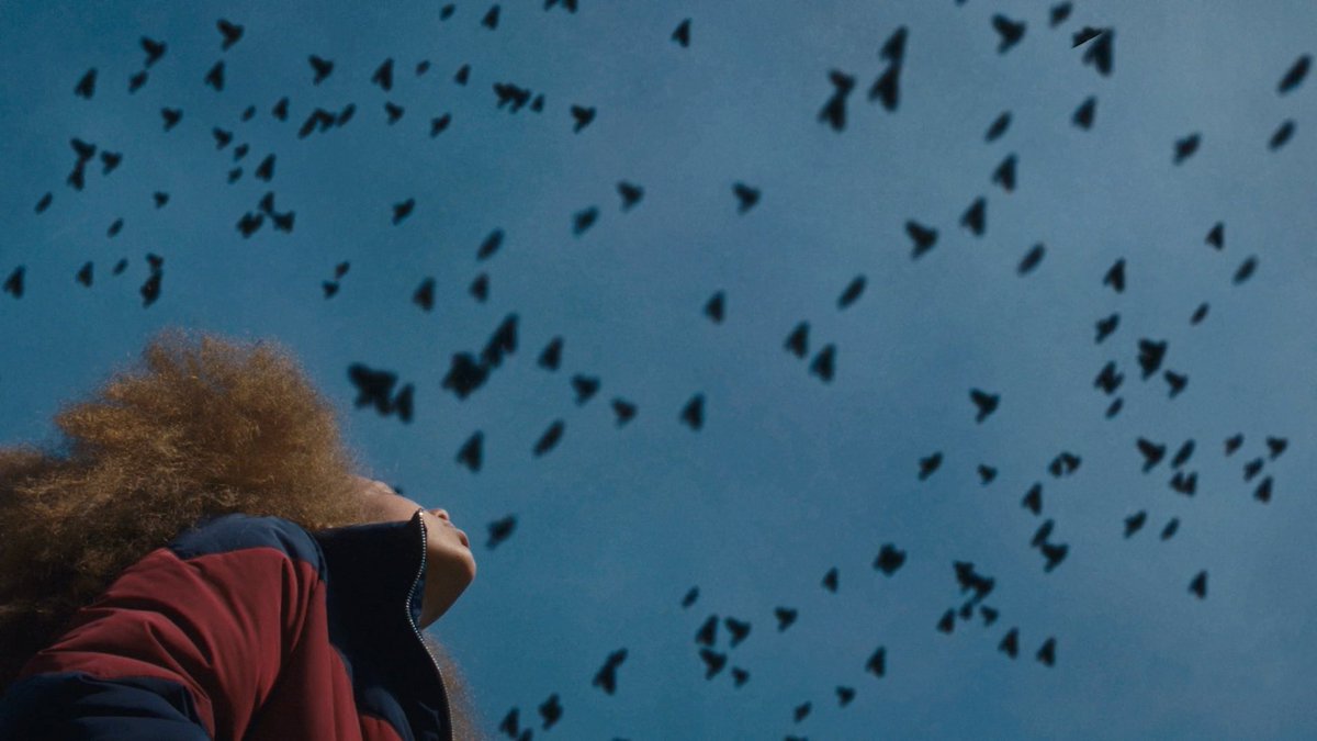 Focal Shadow tweet media