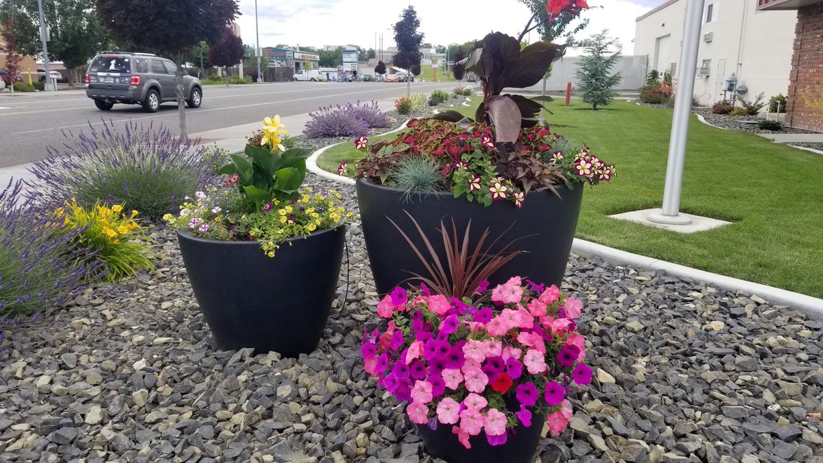 "It's nice when you get an excellent product, great customer service, support a PGMS Partner and impress your new employer all with just one order. Very happy..."

Richland School District, Richland, WA