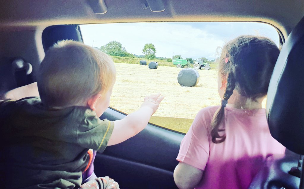 diarmuidpring's tweet image. Spent a great day multi-tasking down on the farm! #bailing #babysitting #greasing 
My co-pilots all excited watching the baler pass in the field in Mothel!