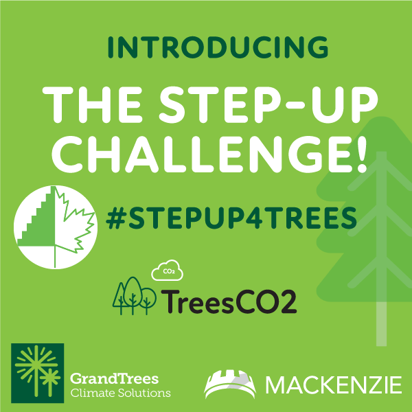 Launching the Step-Up Challenge! 

We challenge you to step-up to climate action!

Climb the equivalent height of a maple tree, Canada’s national tree (Travel 30m or 150 steps, vertical). One tree is planted for every post.

See our Instagram <a href="/trees_co2/">TreesCO2</a> for details!
#stepup4trees