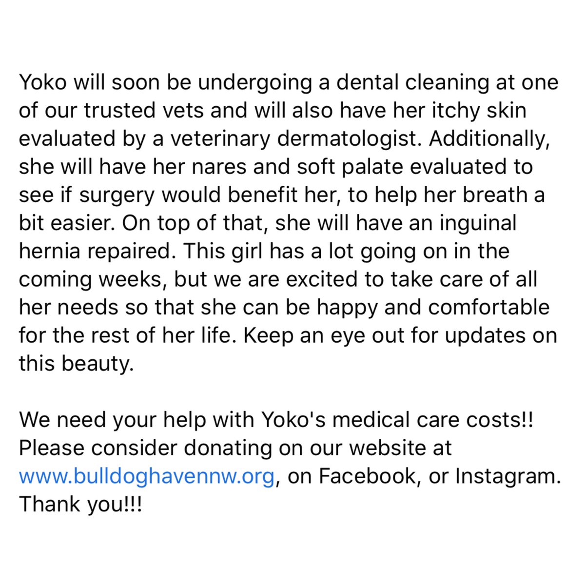 BulldogHavenNW's tweet photo. Petite Miss #Yoko recently joined the #BHNW family needing some help getting her skin issues under control.

We need your help with Yoko's #medicalcarecosts!!  Please #considerdonating on our website at https://t.co/gIVYMUULhQ, on #Facebook, or #Instagramstoty #Thankyou!!! https://t.co/cn5L0S2sdy