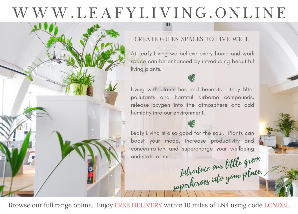 Lets_Get_Leafy's tweet photo. If you’d like help choosing the right plants for your indoor space - give us a nudge, we’re always help to help 🤗 hello@leafyliving.online 🌿 #letsgetleafy https://t.co/5MISmddWUX