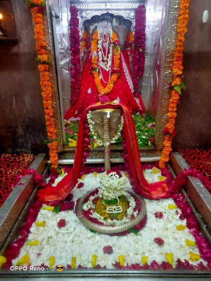 bababansiwala's tweet photo. हर-हर सोमनाथहर-हर ओमकारेश्वर हर-हर विश्वनाथ हर-हर महाकालेश्वर सावन माह के सोमवार अद्भुत दर्शन https://t.co/bu05h0HKUJ