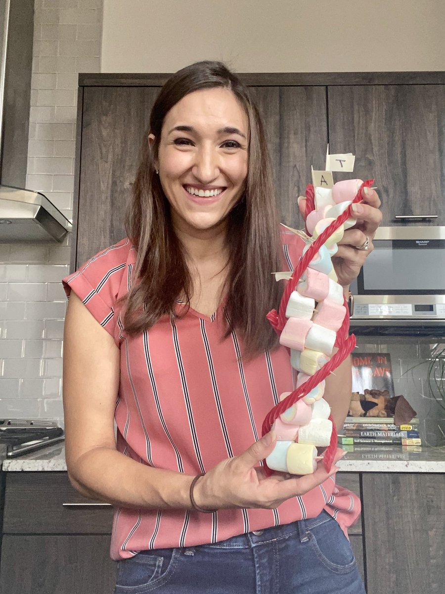 Rachel_EAdams's tweet photo. Virtually spent the morning with over 1500 students talking about DNA and making edible models! Anyone need marshmallows and licorice sticks?? 🧬 #scicomm #virtualsummercamp #genetics https://t.co/Gdz4DCL6gV