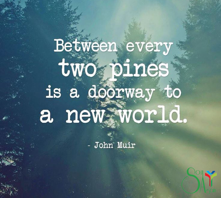 ExpeditionTrips's tweet photo. "Between every two pines is a doorway to a new world" -John Muir #Inspiration #Quote #nature #travel #outdoors https://t.co/15Go6FisYy