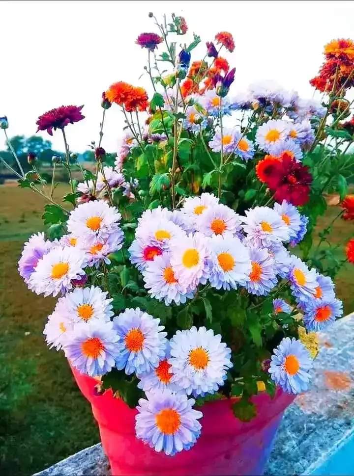 Lablo (@Lablo92099461) | Twitter