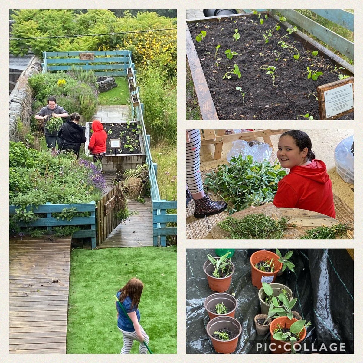 PontyLittleLounge tweet media