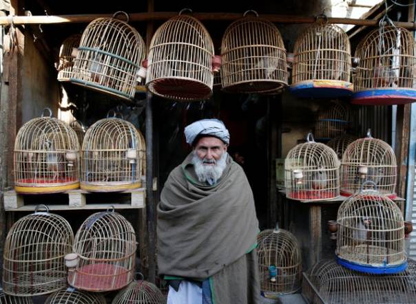 People of  #Kabul: An old man at Kabul´s  #bird  #bazaarPicture taken by Mohammad Ismail.