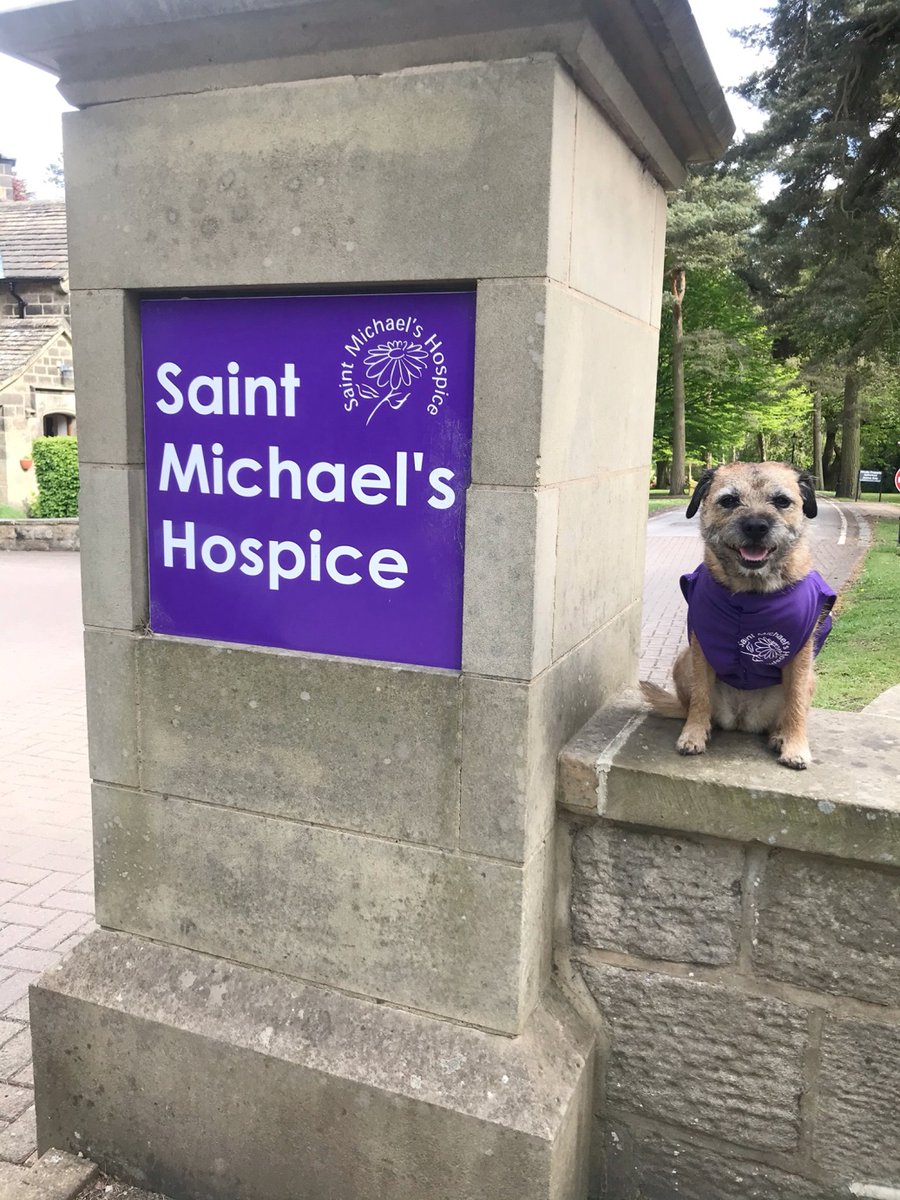 A 10-year old border terrier dog called Lily is putting four paws forward to raise funds for her local hospice care charity. Lily is em-barking on a 1,000 miles for Saint Michael’s challenge, while her owner trains for a fundraising Kilimanjaro trek. 
justgiving.com/fundraising/tr…