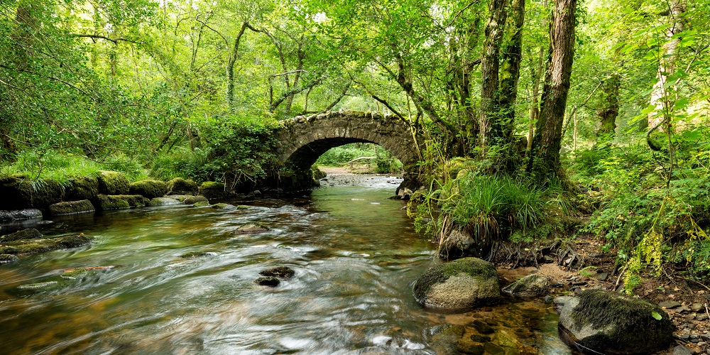  Quick 'packhorse bridge' explainer • Ferried pannier-laden horses across waterways • One or more narrow (one-horse wide) stone arches• Low parapets designed for panniers to pass over• Built on major trade routes• Succeeded by turnpike roads and canals in the 1700s