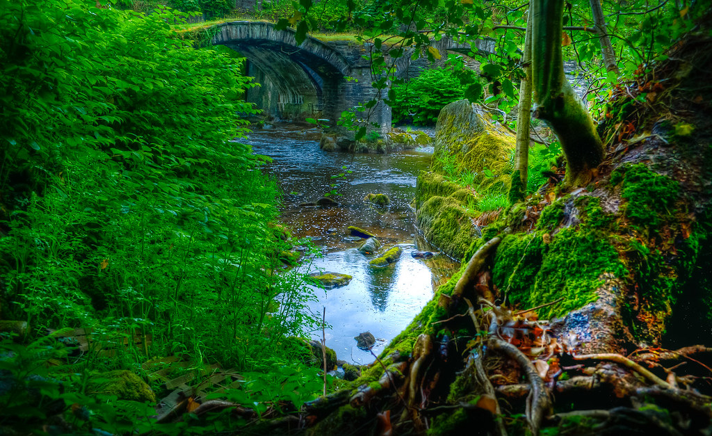 At the gateway to Dinas Mawddwy, as the A470 snakes from the capital to Conwy, it sweeps past a protected ancient monument – hidden from the road beyond.A tiny, secret, moss-green, picture perfect fairytale of all a river crossing should be.THREAD 