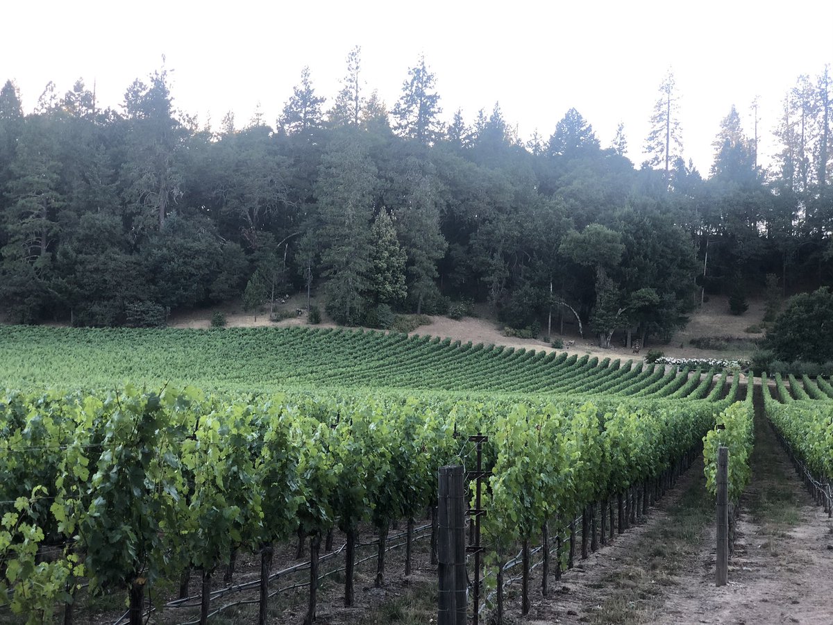 New day, new week, new month after a long holiday weekend!  Have a great week from the Mondavi Sisters Collection!  Cheers! #howellmountain #napavalley #itsfromnapa #femalebusinessowners