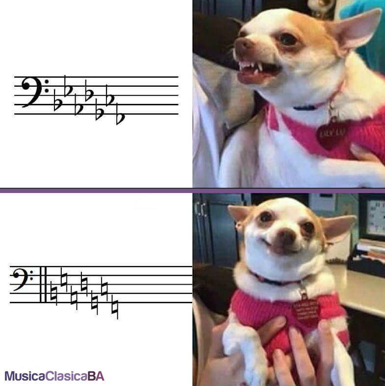 MusicaClasicaBA's tweet photo. Los lunes se agradece la simpleza
#HumorMCBA #Lunes #Antilunes | https://t.co/Ljh2KnvW6i https://t.co/G3Disag3OS