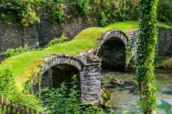 A stone construction, Pont Minllyn is a twin-arched bridge, consisting of radial voussoirs (see diagram), which spring from rock abutments on to a centre water pier, with cutwaters each side.The upper structure of the bridge has been lost, carpeted instead in verdant green.