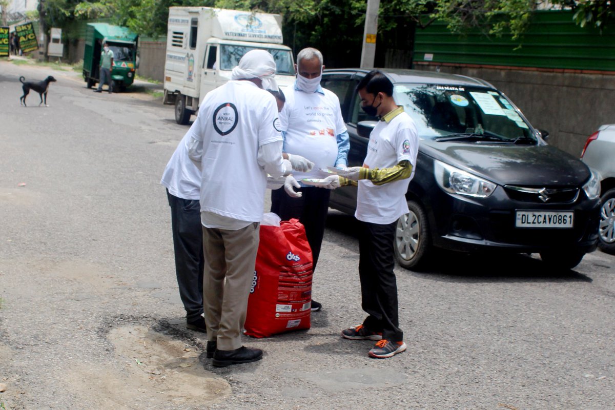 MoveTheWorldIN's tweet photo. As the lockdown restrictions continue to ease, it is time to go out and feed stray animals in your area. World Animal Protection and NDMC are feeding strays in North Delhi. You can join too.
#dogs #volunteers #supporters #betterlivesfordogs #DontForgetThem #COVID2019 https://t.co/zBz3M3w4jO