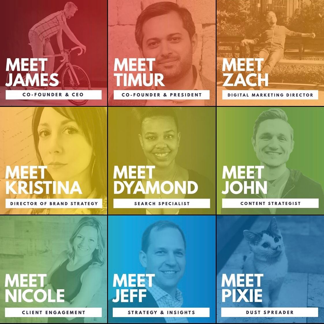 pixauradigital's tweet photo. "None of us is as smart as all of us." - Ken Blanchard
https://t.co/AyiDbNC1Ya
#Pixaura #OurTeam #DigitalMarketing https://t.co/SrYNWdBv1e