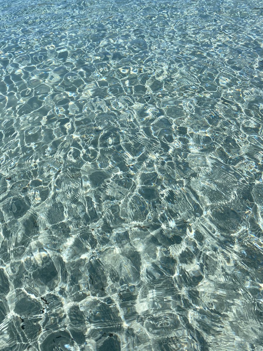 vitadimierd's tweet photo. Perché la vostra TL merita di essere blessata dal mare della Sardegna https://t.co/pNDVvVgcLK