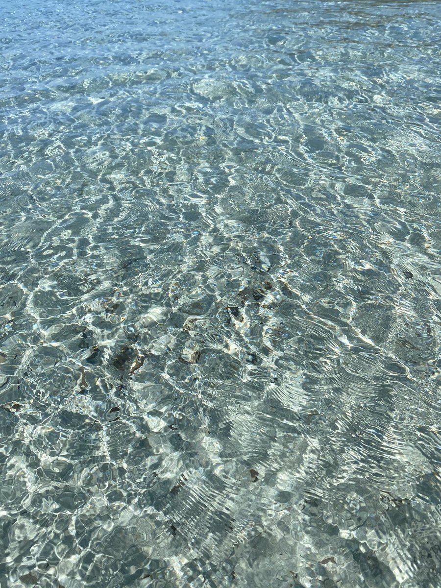 vitadimierd's tweet photo. Perché la vostra TL merita di essere blessata dal mare della Sardegna https://t.co/pNDVvVgcLK