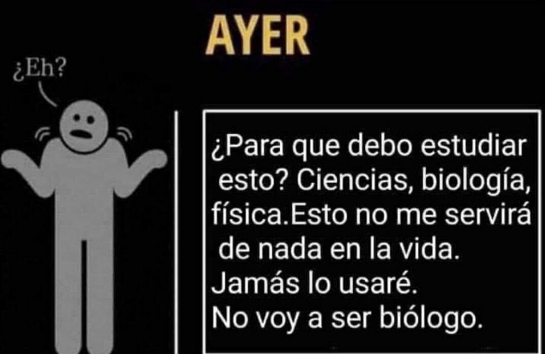StoneyRita's tweet image. ¿Para que voy a estudiar ciencias? 
#ENORME