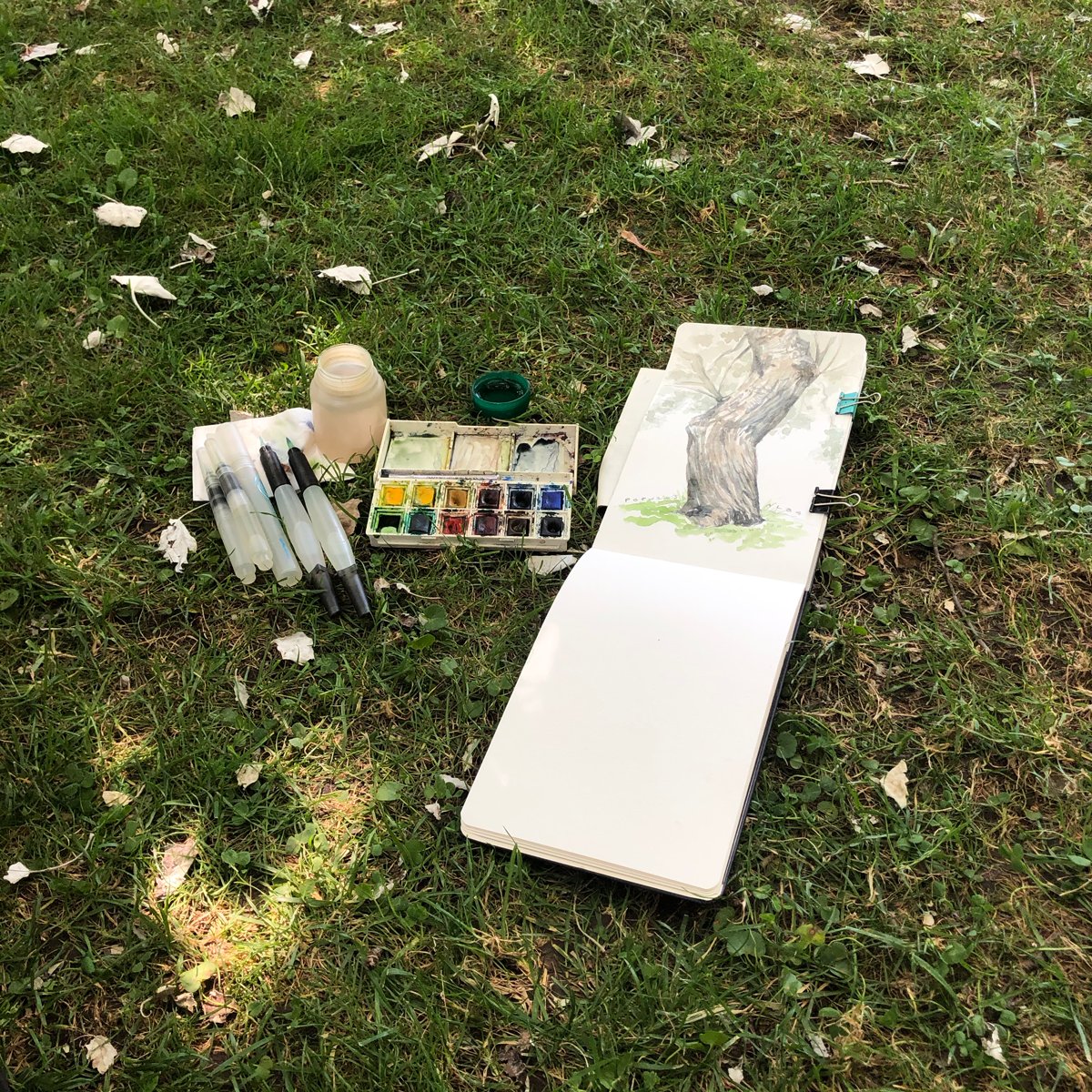 Lucia_Antunes's tweet photo. Another Sunday sketch! // Jardim Gulbenkian
.
.
.
.
.
#illustration #desenho #sketchbook #sketching #fieldsketching #moleskine #winsorandnewtonwatercolors #winsorandnewton #gulbekianfoundation #jardimgulbenkian #choupo #populusalba #botanicalillustration #treeillustrations https://t.co/ClhaHKhaCJ