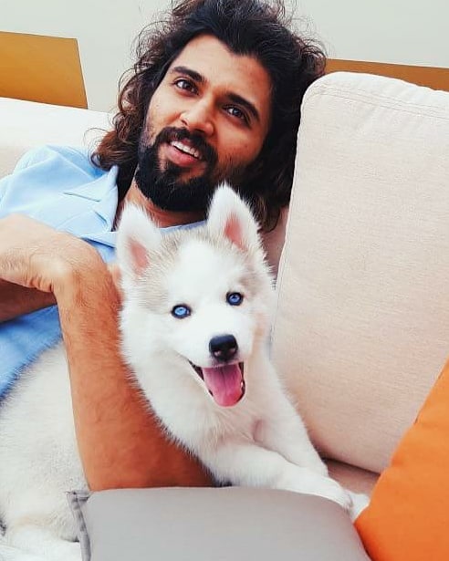 TeamDeverakonda's tweet photo. Meet 'Storm' ❤️ https://t.co/nHCzZXEevt