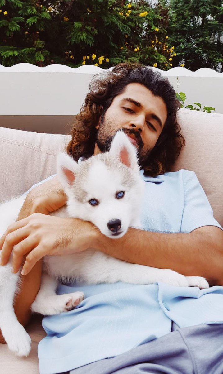 TeamDeverakonda's tweet photo. Meet 'Storm' ❤️ https://t.co/nHCzZXEevt