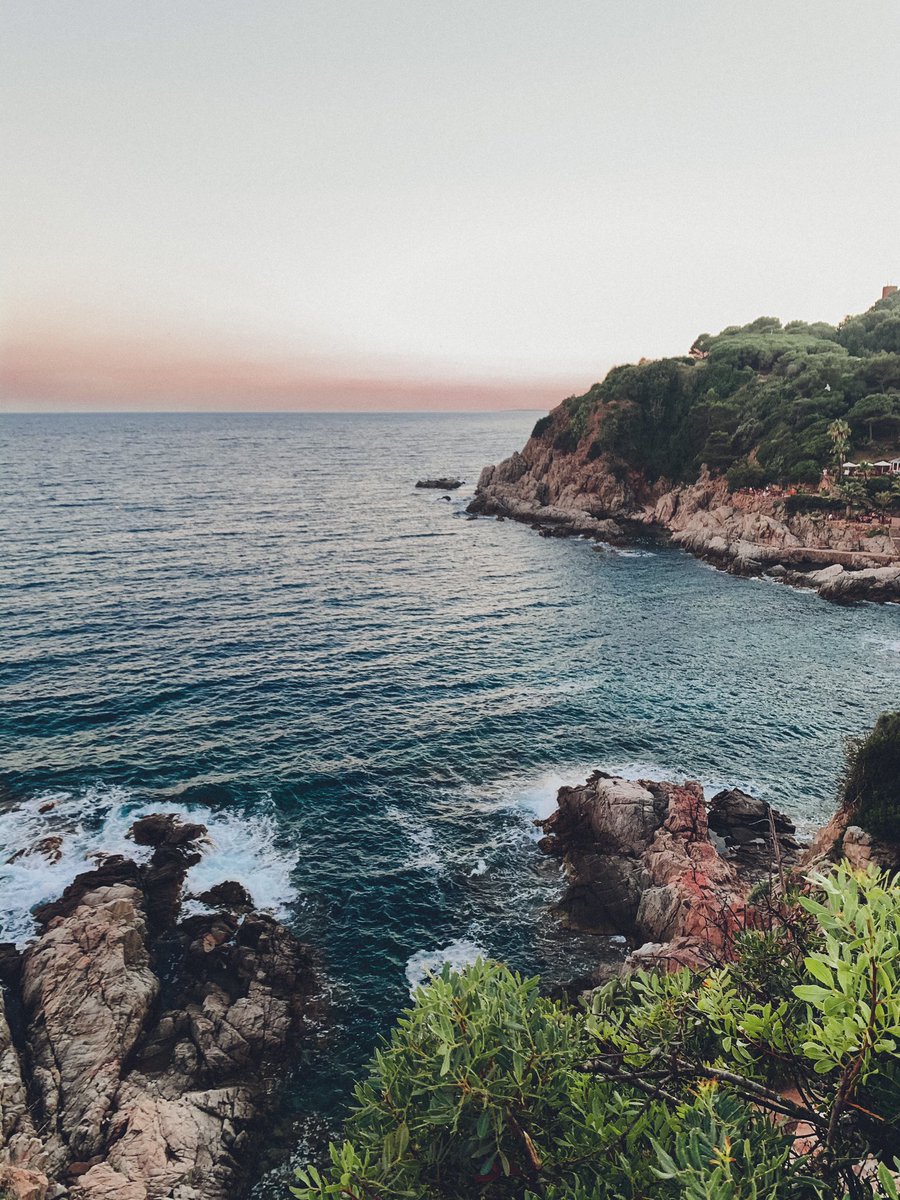SeleneMedel2's tweet image. mirad que fotos más bonitas he hecho este finde:)
