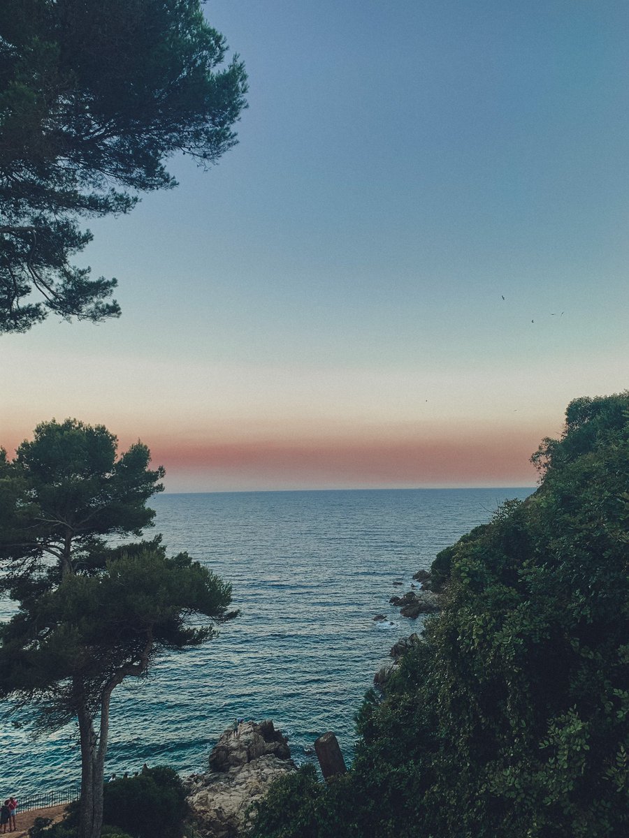 SeleneMedel2's tweet image. mirad que fotos más bonitas he hecho este finde:)