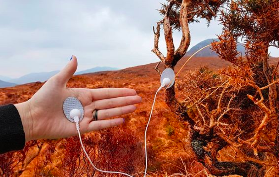 SciArt Initiative tweet media