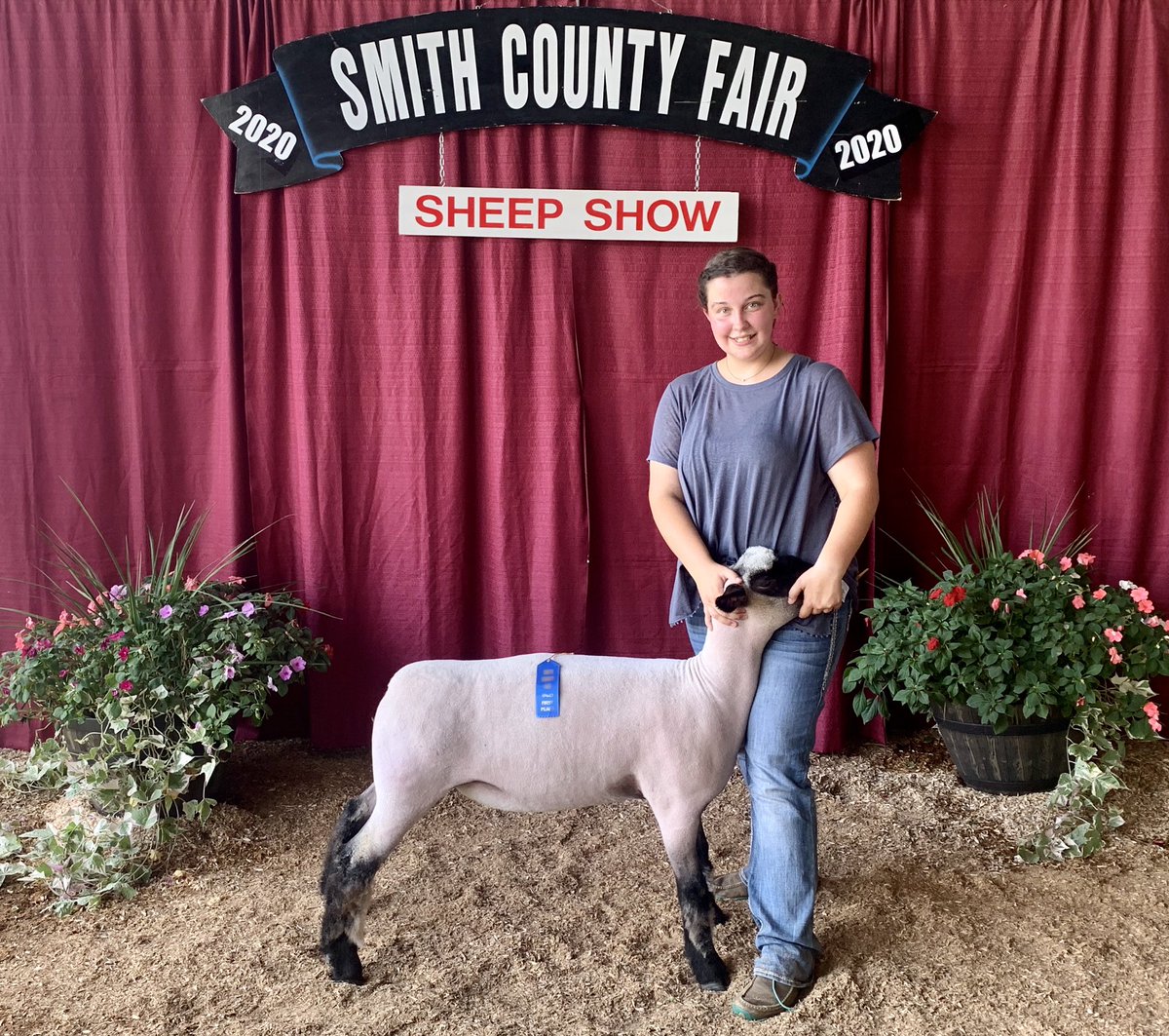 creek_ffa's tweet photo. Happy Indepence Day from FFA member, Kaitlin, &amp; our sweet ewe lamb, Reba! Red, White, &amp; BLUE ribbons! 🇺🇸 🥇 #ClassWinner @stewartscreekhs @RuCoCTE https://t.co/9X4jIQditS