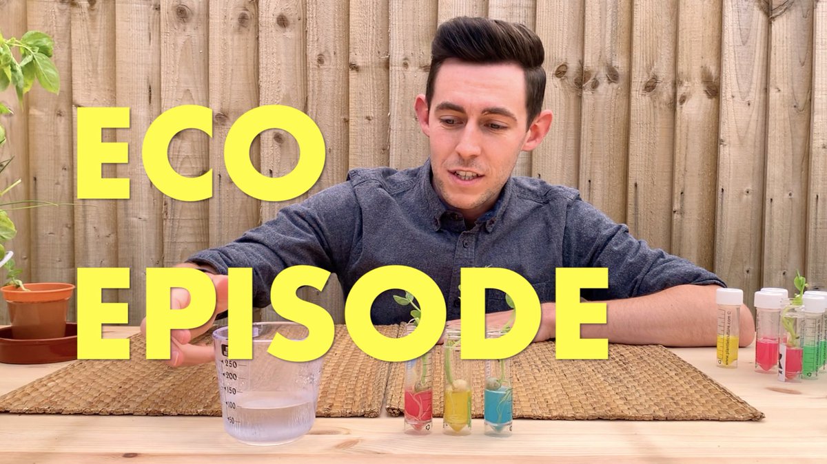MrPowerClifton's tweet photo. My next ‘Eco Episode’ for tomorrow is almost finished. Join me for some plants growing in test tubes 🧪 

@CliftonPrim @MrsOsborneBrear @mrsawyer3s @MrsBhachu @pengellyclifton @IsmatARajabali @AnnkatJones @LouiseSumner7 @plantletculture @madmamaruns https://t.co/XlXbFCWpJ8