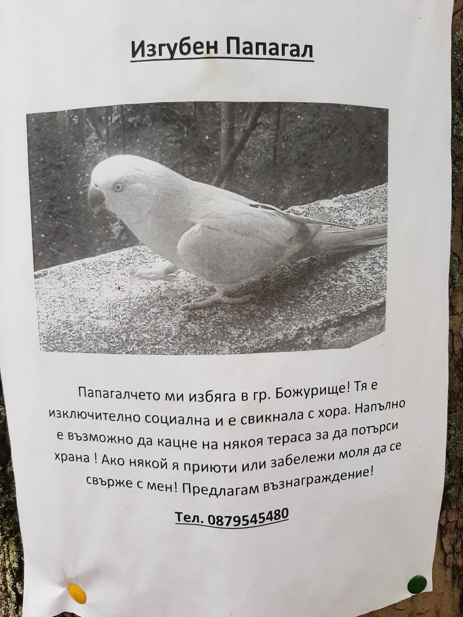 Да помагаме