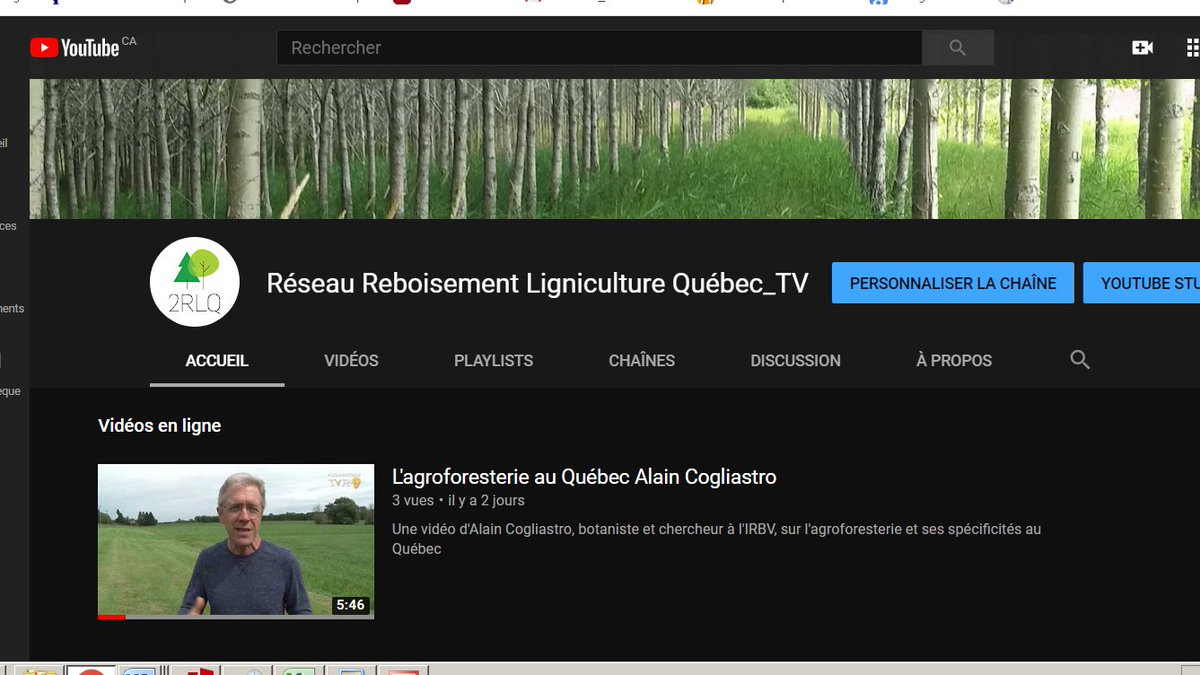 RebLigniQc's tweet photo. Une nouvelle plateforme lancée @RebLigniQc: une chaîne #YouTube #RéseauReboisementLignicultureQuébec_TV qui va héberger des vidéos de vulgarisation et des webinaires élaborés par nos chercheurs et collaborateurs.
Une première vidéo est disponible: 
https://t.co/nP8CmPyKi7 https://t.co/PWDw4rhdqq