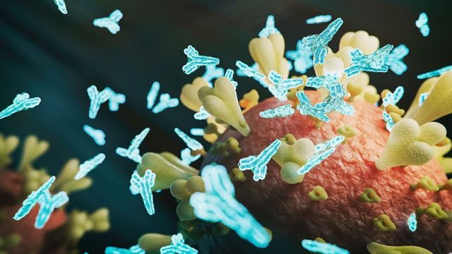 crownbioscience's tweet photo. Explore the key areas that highlight differences and similarities of the #innateimmunesystem and #adaptiveimmunesystem https://t.co/IQ3mVMbLlY @Tech_Networks https://t.co/Ll2Tiq9HDp