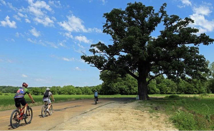 VisitColumbiaMO's tweet photo. Columbia was featured in The Gazette as an exciting place to have a socially distanced adventure! It was a pleasure to host Lori and Bob during their time in our city.
๐ป: https://t.co/gIbqYneKjy #showmecomo #columbiamo #missouri #parks #trails #adventure #socialdistance https://t.co/RxK1UJXMIL