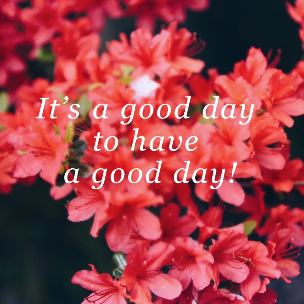 A great Monday starts with a positive attitude.