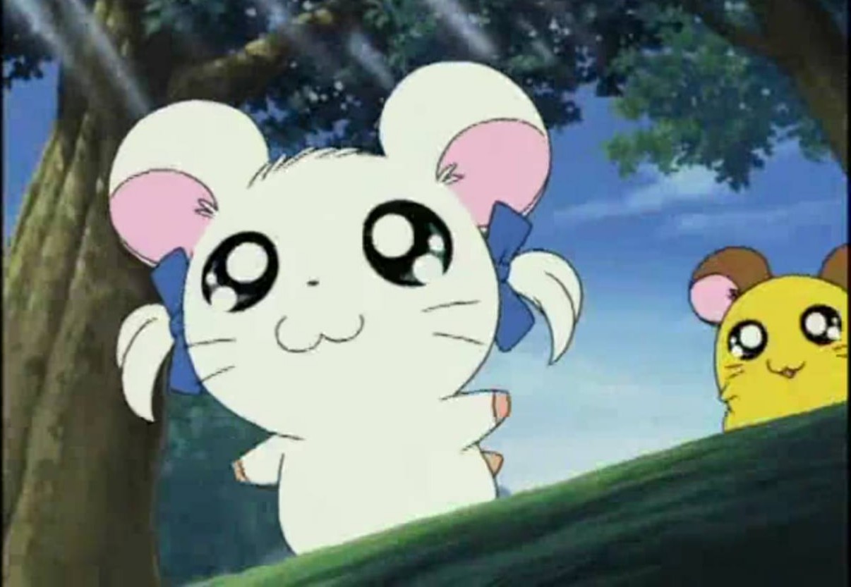 るい とっとこハム太郎アニメ化周年 今日 7月7日は七夕でもあり 00年7月7日にとっとこハム太郎のアニメが放送開始されました 現在は放送されてませんが今日で周年です おめでとうございます とっとこハム太郎周年 T Co