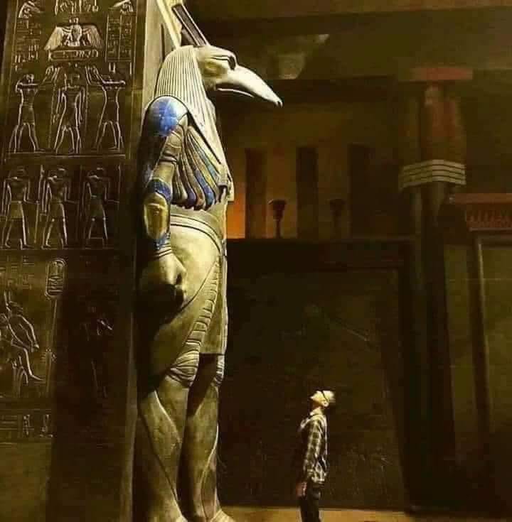 SABERHASSAN8621's tweet photo. #مصر ليست دولة تاريخية 
#مصر أتت أولاً ثم أتي بعدها التاريخ ❤
#نجيب_محفوظ
#أحنا_مصر_أم_الدنيا_والحضاره_والتاريخ
#أنتم_مين https://t.co/sXDx5Opb1m