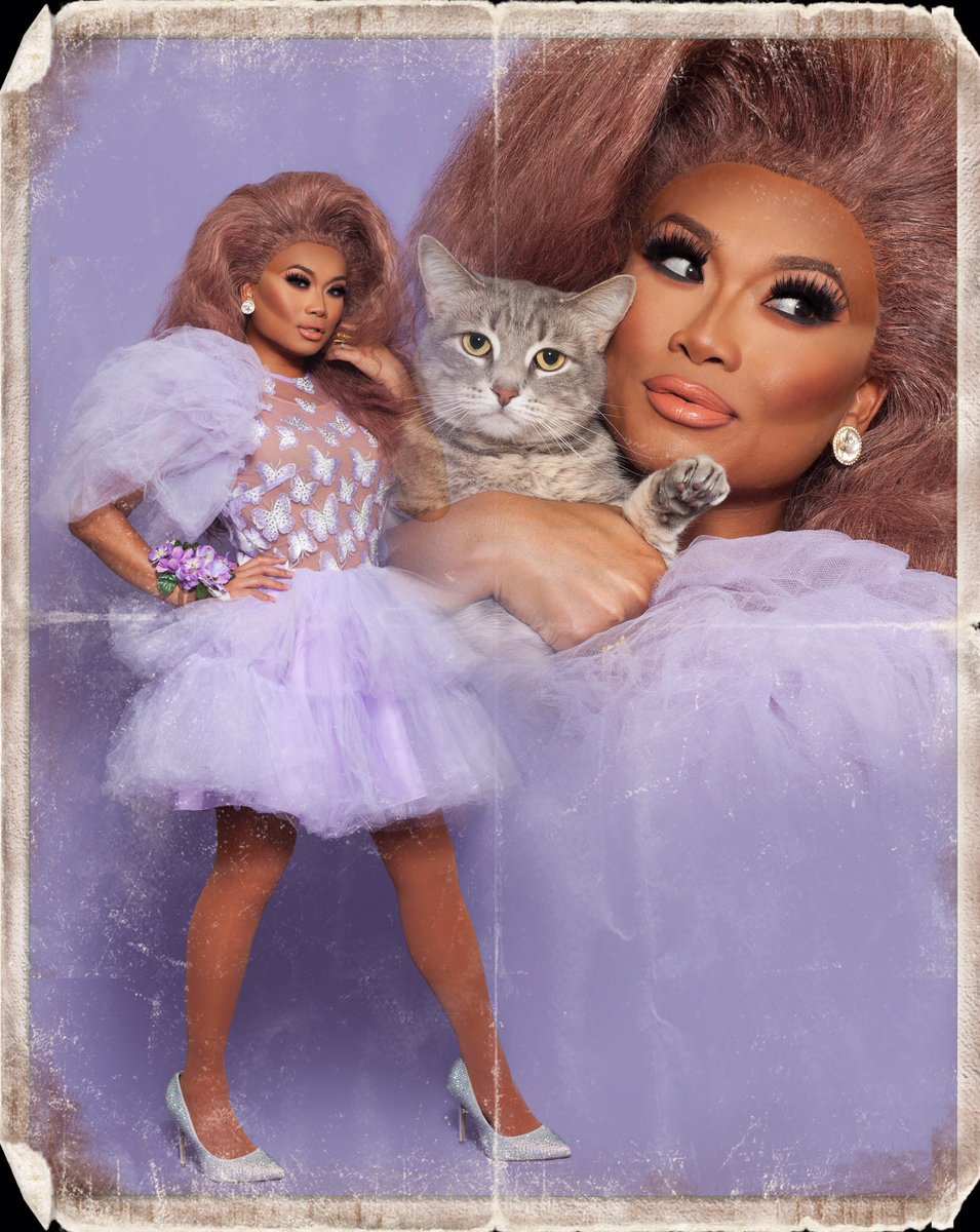 goode_enough's tweet photo. thinking about jujubee and her cats https://t.co/AY5bnaPpRJ