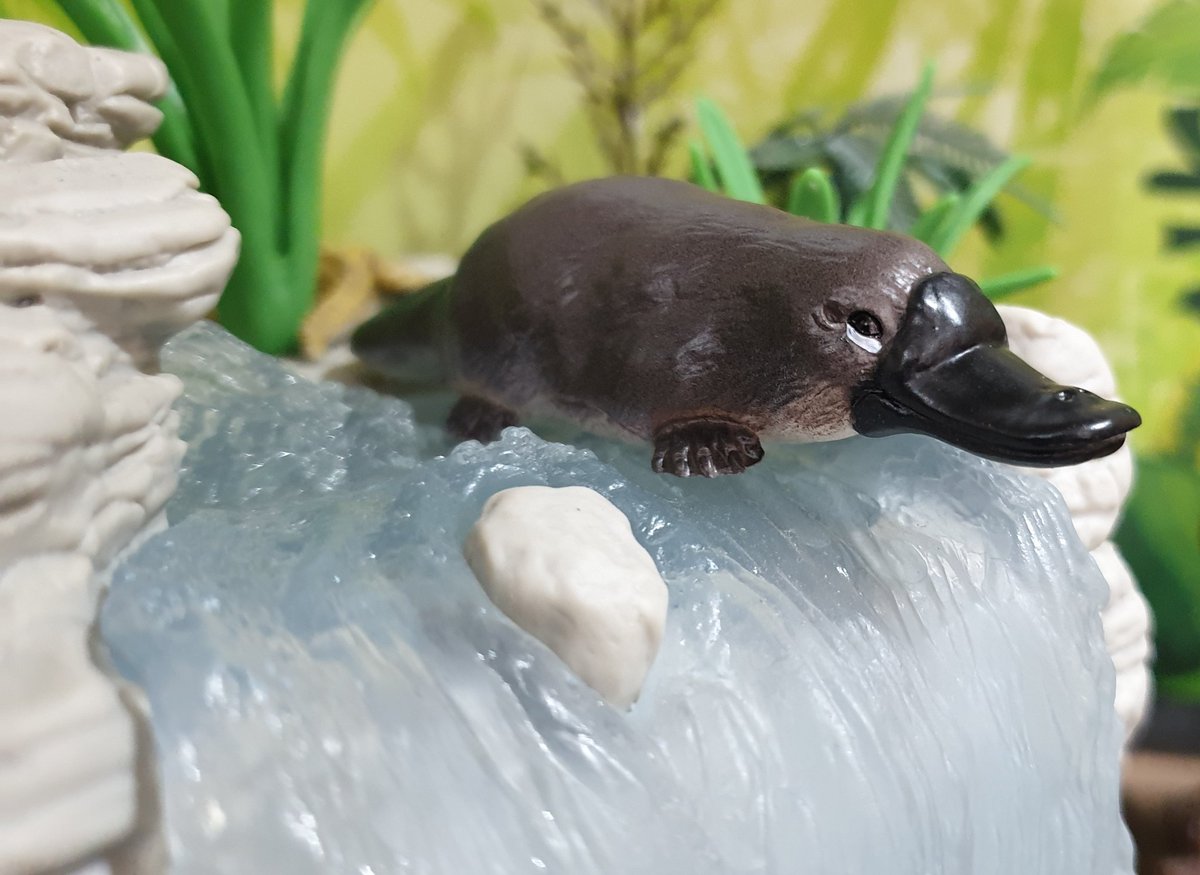 schleich platypus
