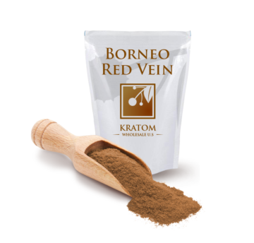 kratom_us's tweet photo. Red Vein Borneo Kratom were derived from the leaves of only the most mature kratom trees, providing unparalleled quality. Shop now! Visit https://t.co/mRAs2GKFK6 for more info.

#Kratom #RedVeinKratom #KratomWholesaleUSA https://t.co/du8u7BIlnx