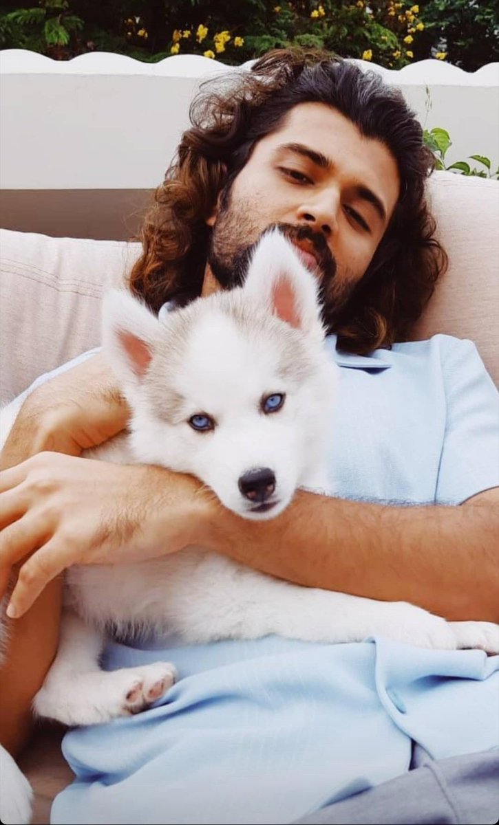 clapnumber's tweet photo. #VijayDeverakonda latest pics with his adorable pet #StormDeverakonda #Clapnumber https://t.co/lMzyWJK7Ec