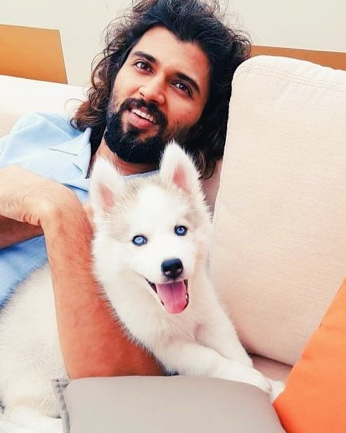 clapnumber's tweet photo. #VijayDeverakonda latest pics with his adorable pet #StormDeverakonda #Clapnumber https://t.co/lMzyWJK7Ec