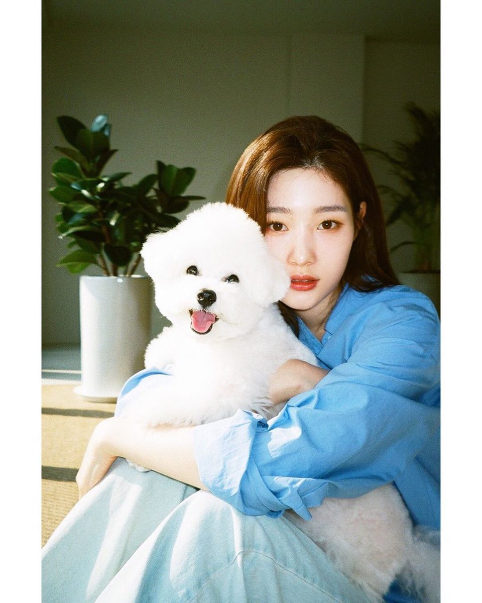 jchaeyeonbr's tweet photo. [CHAESTAGRAM] 06.07.20 - Atualização da #Chaeyeon no seu Instagram:

“Eu gosto muito disso 😍”

© kor-eng: dia_sns
pt-br: jchaeyeonbr
#다이아 #DIA #정채연 #채연 https://t.co/hwtPWntDrb